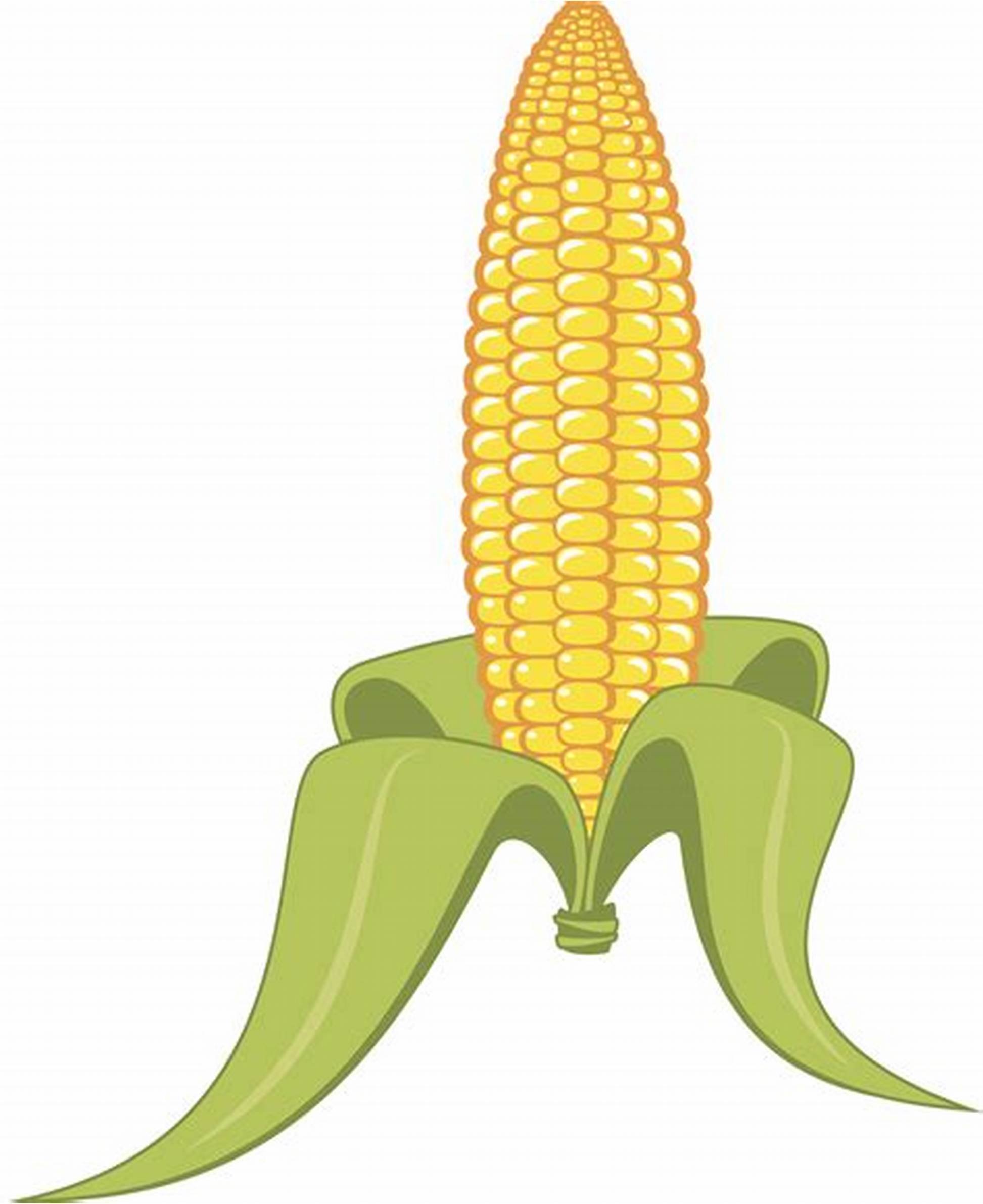 Картинка початок кукурузы для детей