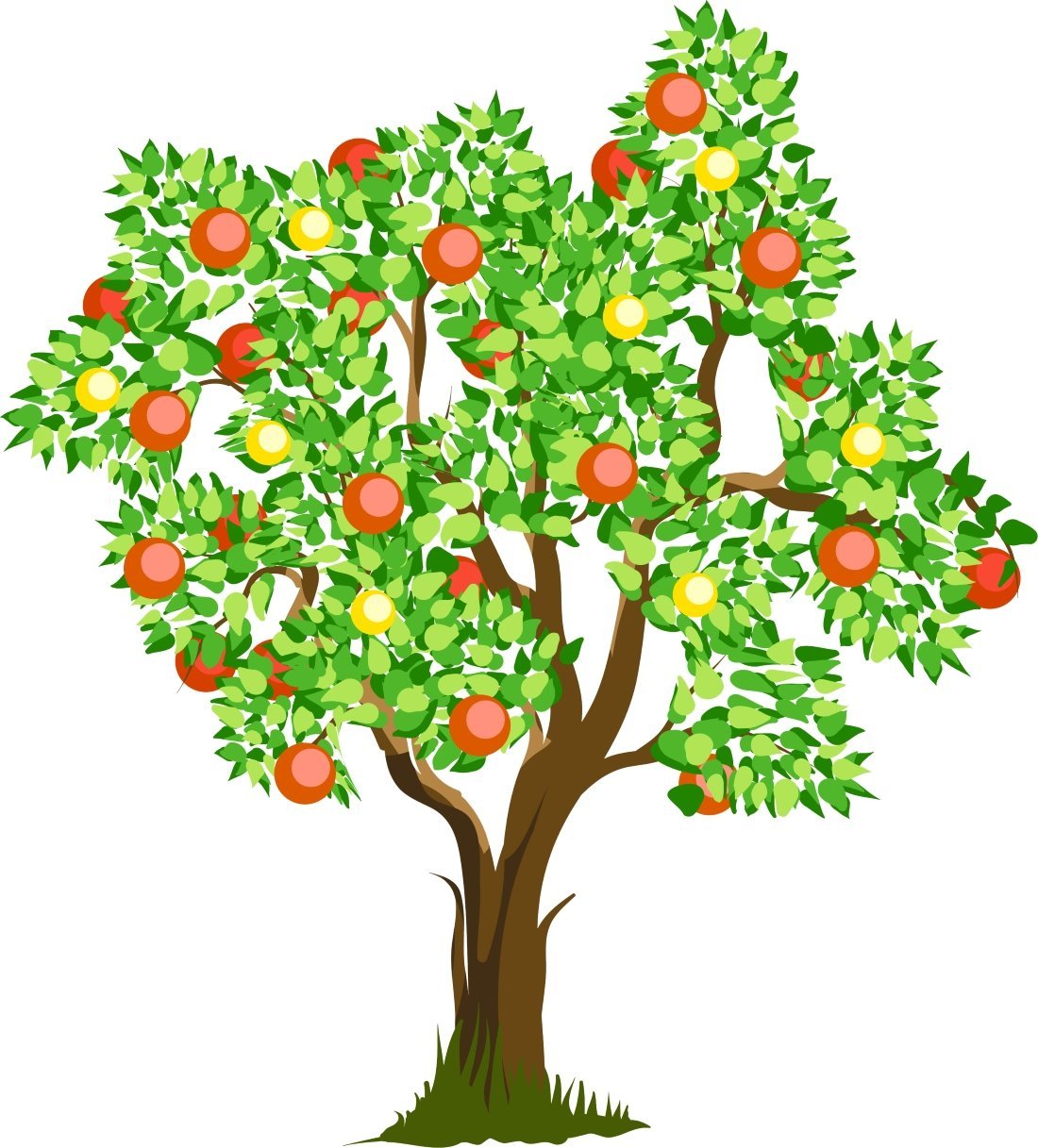 Яблонька дерево