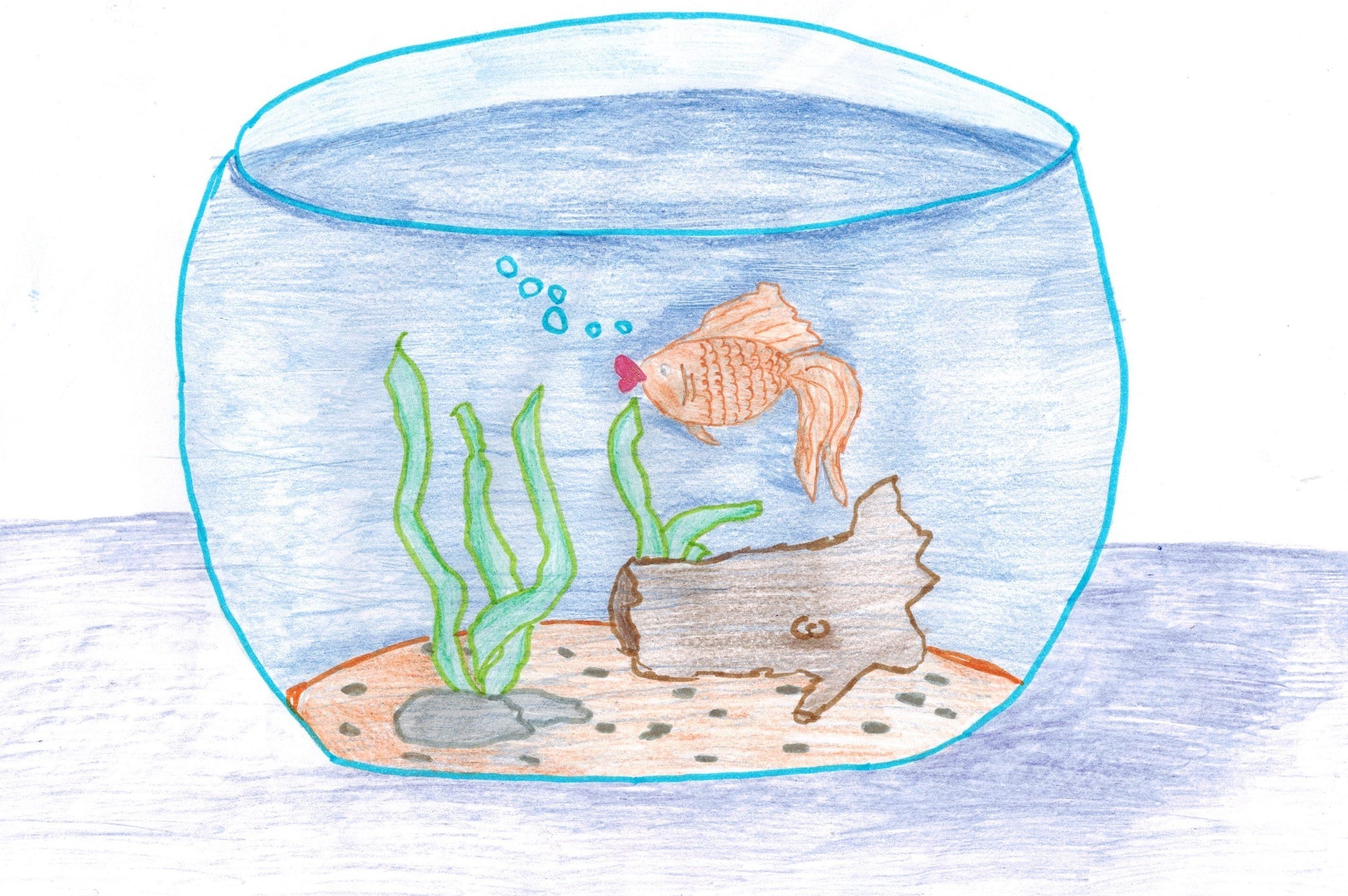 Иллюстрация к пьесе сен Санса аквариум