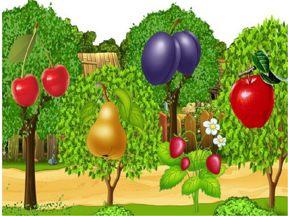 Картинка сад для детей. Плодовые деревья для дошкольников. Фруктовые деревья для детей. Сад с фруктовыми деревьями для детей. Фрукты растут в саду.