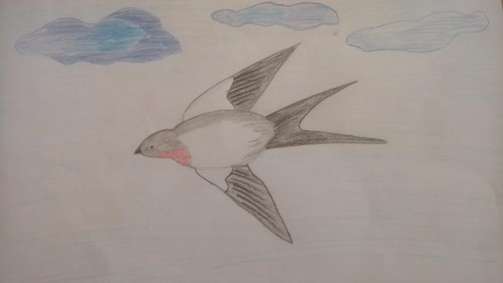 Нарисовать перелетную птицу ребенку