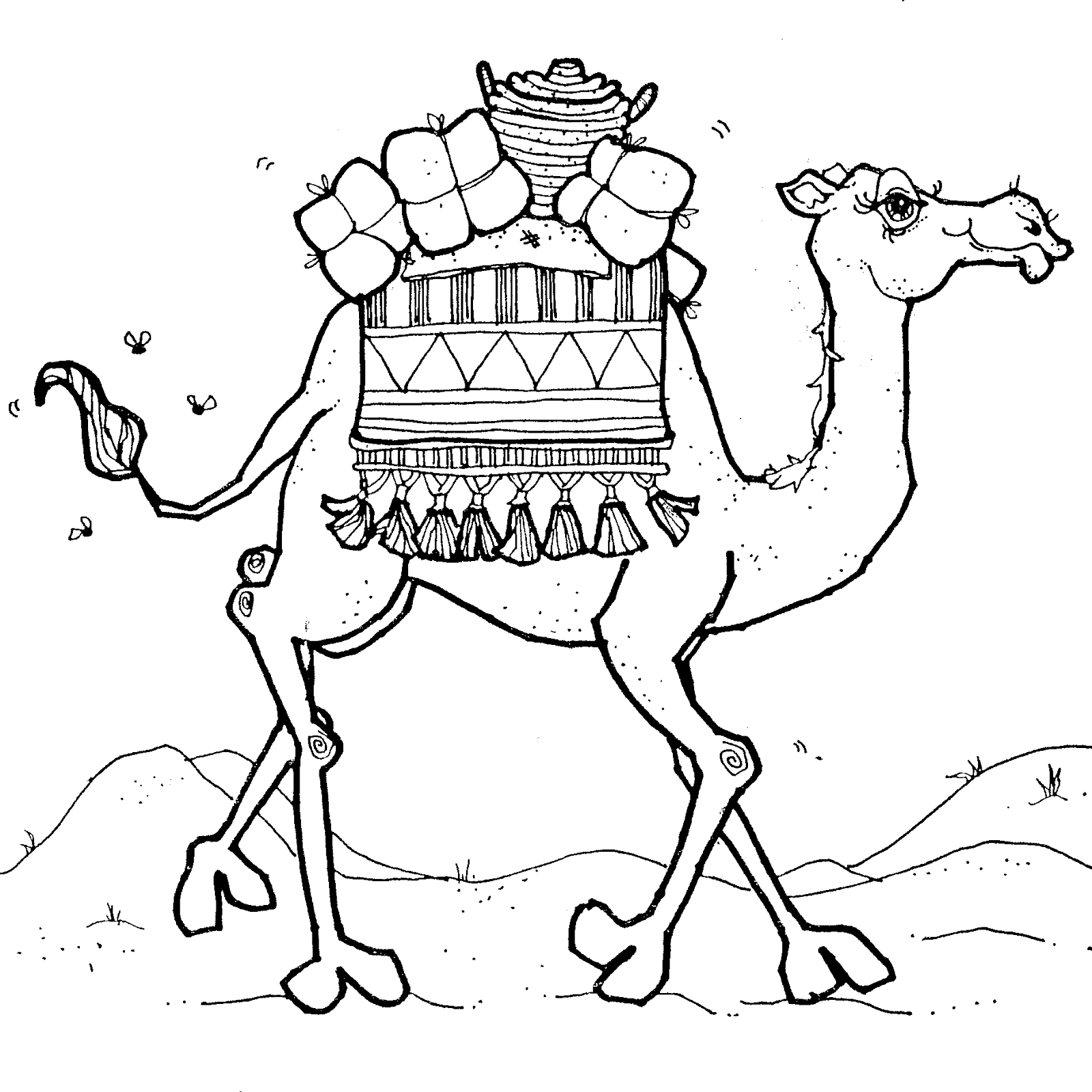 Верблюд картинка раскраска