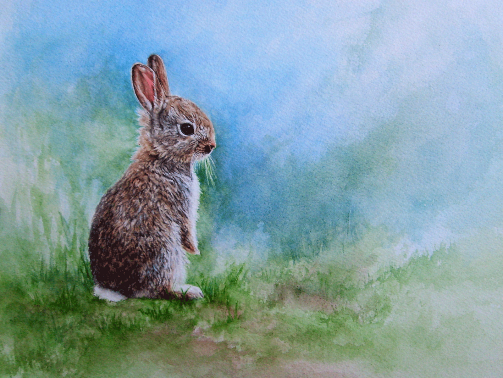 Выскочил зайчик. Заяц живопись. Зайчата живопись. Животные живопись заяц. Зайчик в лесу.
