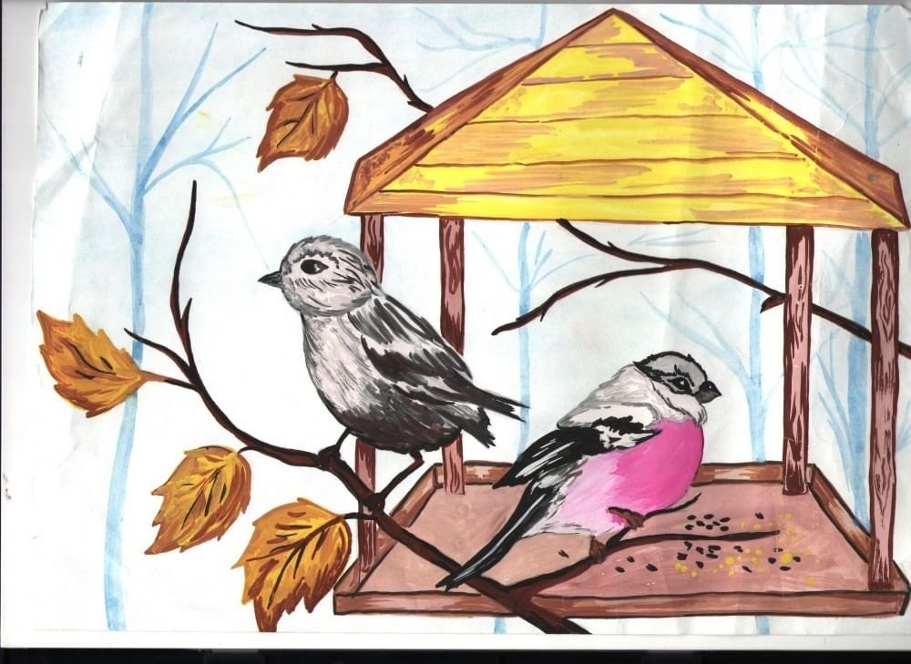Рисунок к дню птиц. Птица рисунок. Рисование птицы на кормушке. Кормушка рисунок. Детские рисунки птиц.