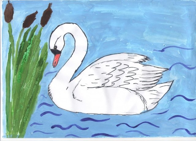 Нарисовать рисунок лебедушка. Рисование для детей лебедь. Лебедь детский рисунок. Рисование лебедь в подготовительной. Лебедь рисунок для детей.