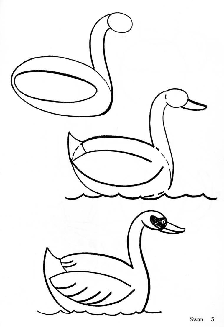 Лебедь рисунок карандашом