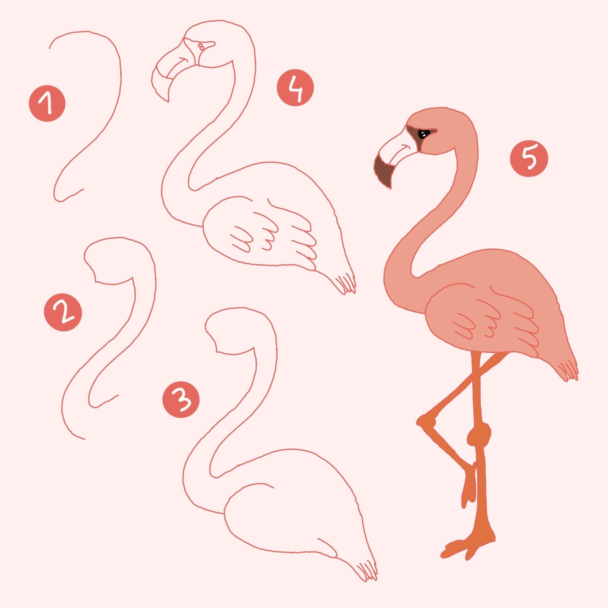 Фламинго легко. Рисуем Фламинго поэтапно. Фламинго рисунок для срисовки. Рисунки Фламинго легкие. Поэтапное рисование Фламинго для детей.