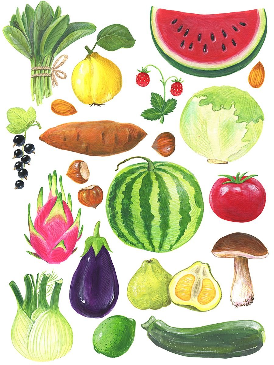 Овощи и фрукты полезные продукты рисование
