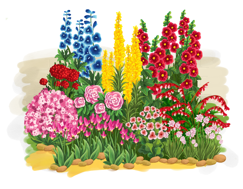 Клумба с цветами. Цветник для детей. Рисование цветы на клумбе. Клумба с цветами на прозрачном фоне. Рисунок цветов в детский сад