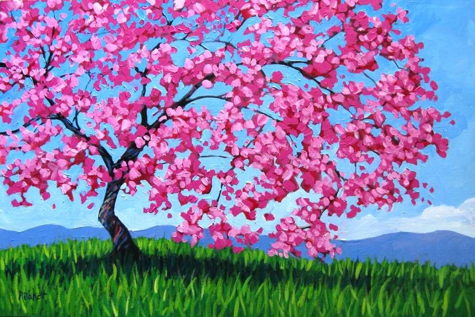 Как нарисовать дерево сакуры. Дерево Сакуры акрилом. Пейзаж рисунок. Сакура картина. Цветущие деревья красками.
