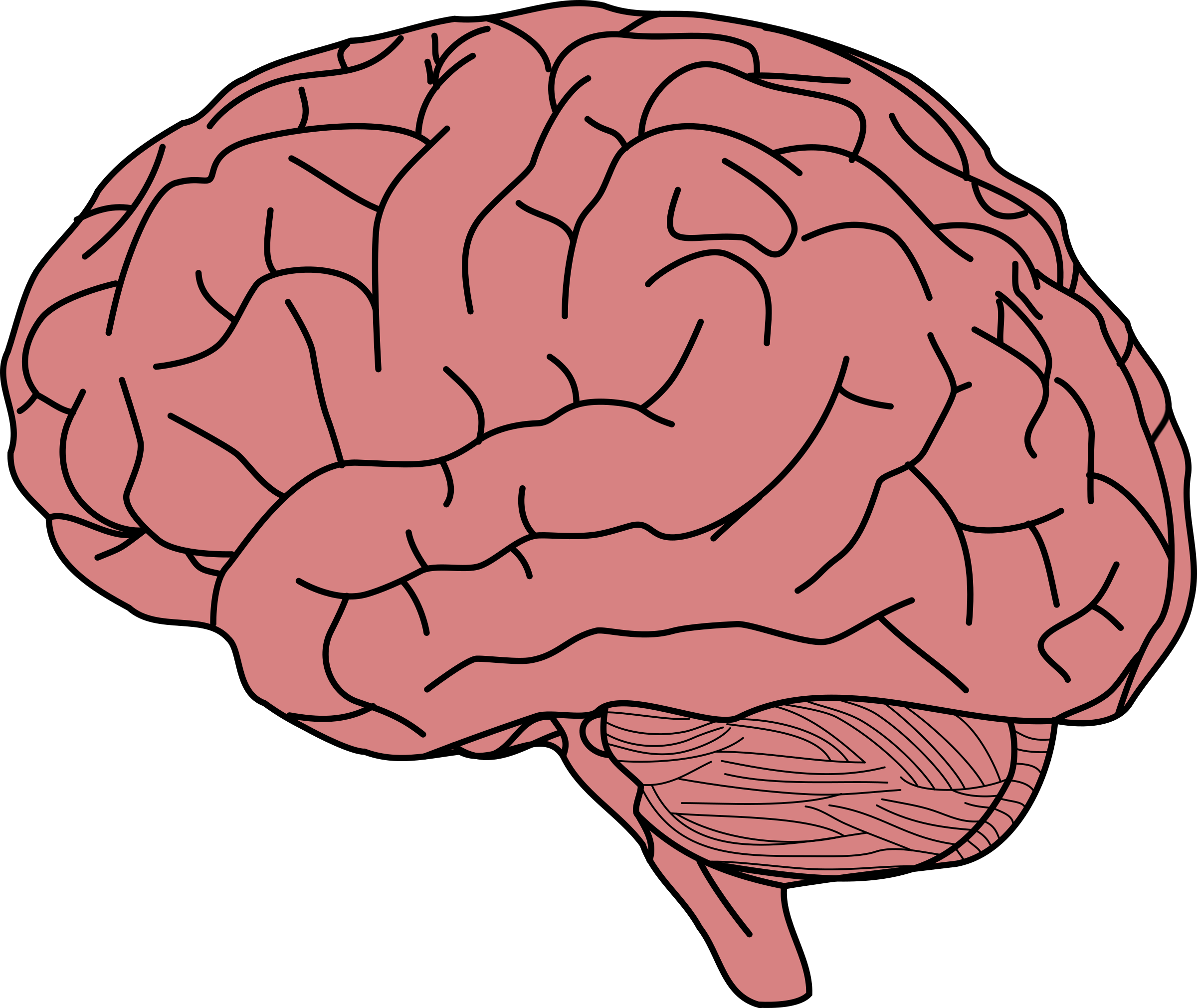 Технический мозг. Мозг рисунок. Мозг нарисованный.