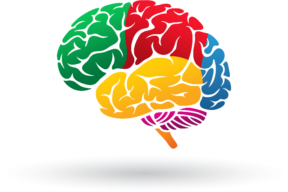 Мозги на ножках. Разноцветный мозг. Мозг рисунок. Мозг на белом фоне.