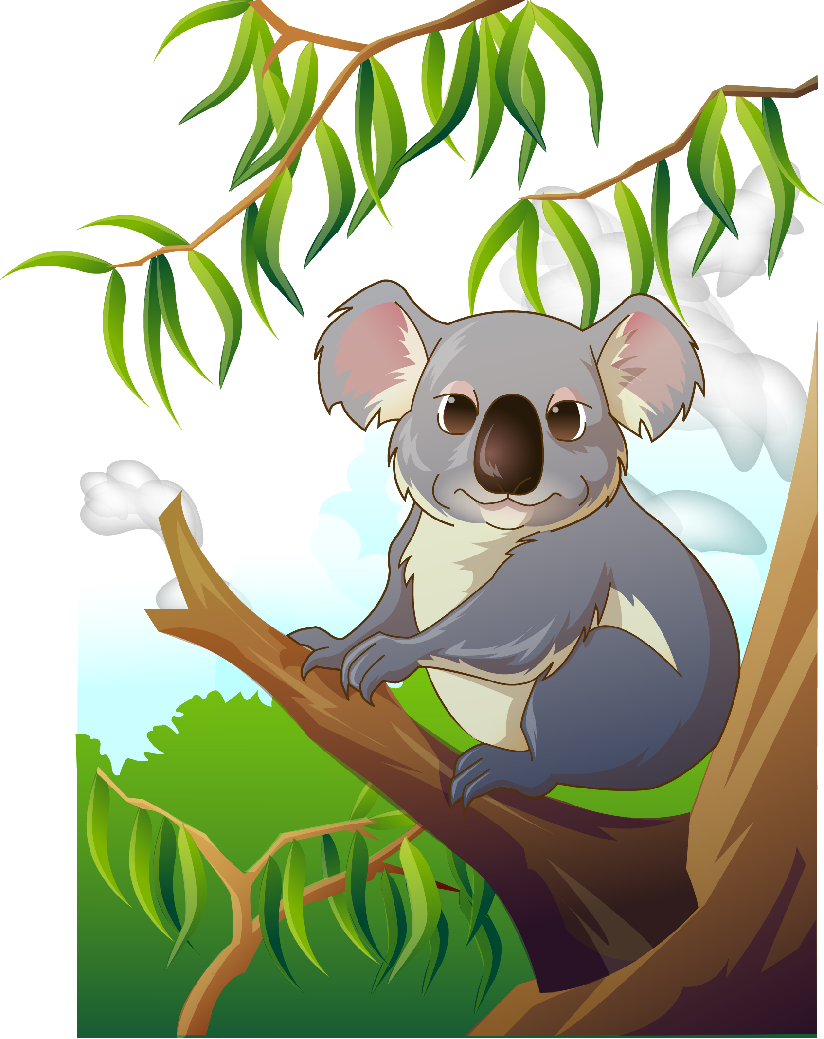 Детская коала. Мультяшные коалы. Векторная коала. Коала рисунок вектор.