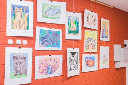 Паспарту для фотовыставки