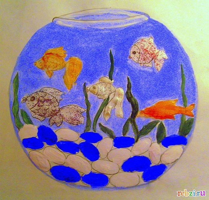 Рисования рыбки плавают в аквариуме. Рыбки для аквариума. Аквариум рисунок. Рыбы в аквариуме для рисования. Рисование аквариум с рыбками старшая группа.
