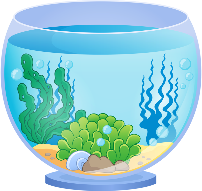 В 7 аквариумах было поровну рыбок. Аквариум без рыбок. Аквариум для детей. Круглый аквариум без рыбок. Аквариум с рыбками для детей.
