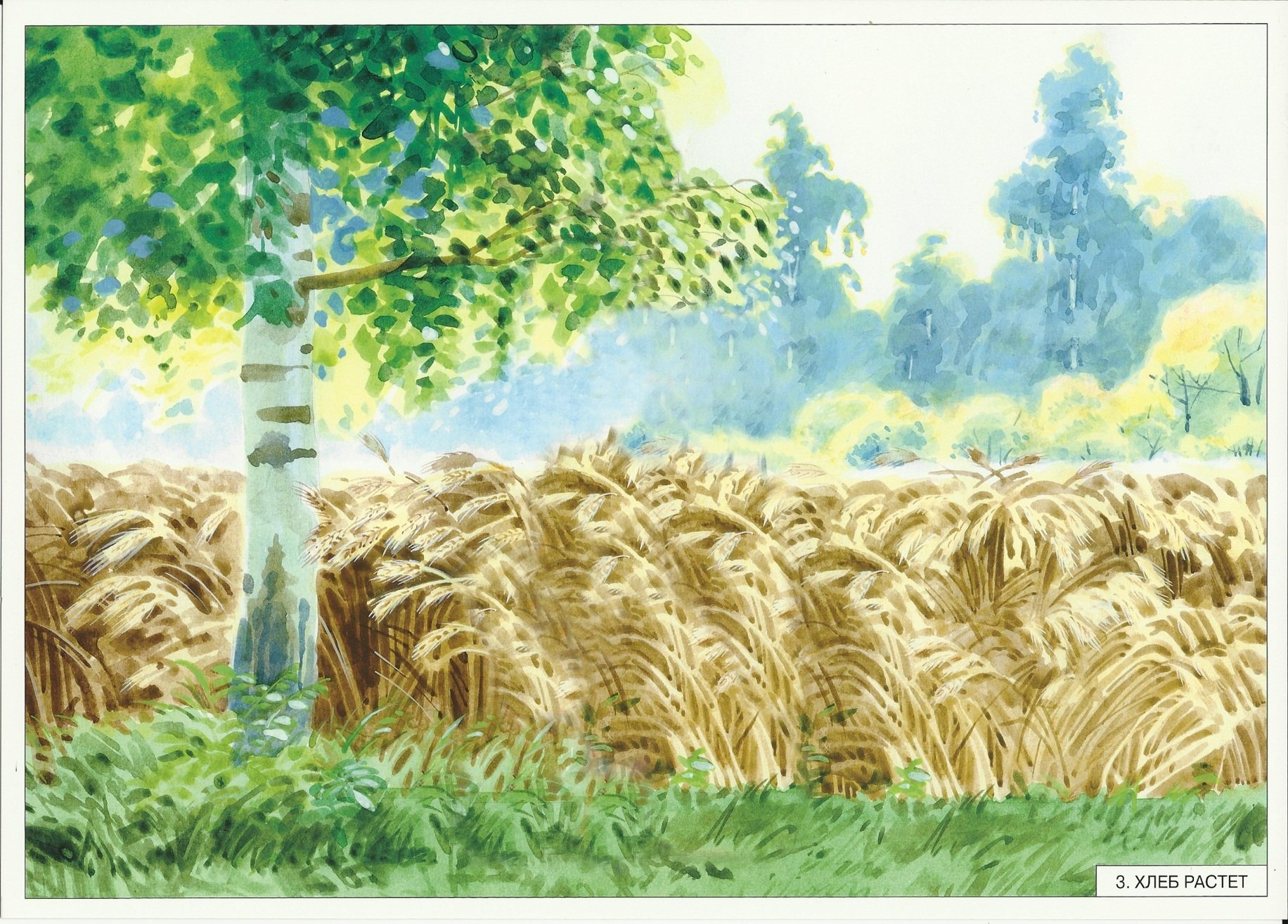 Рисование хлебное поле