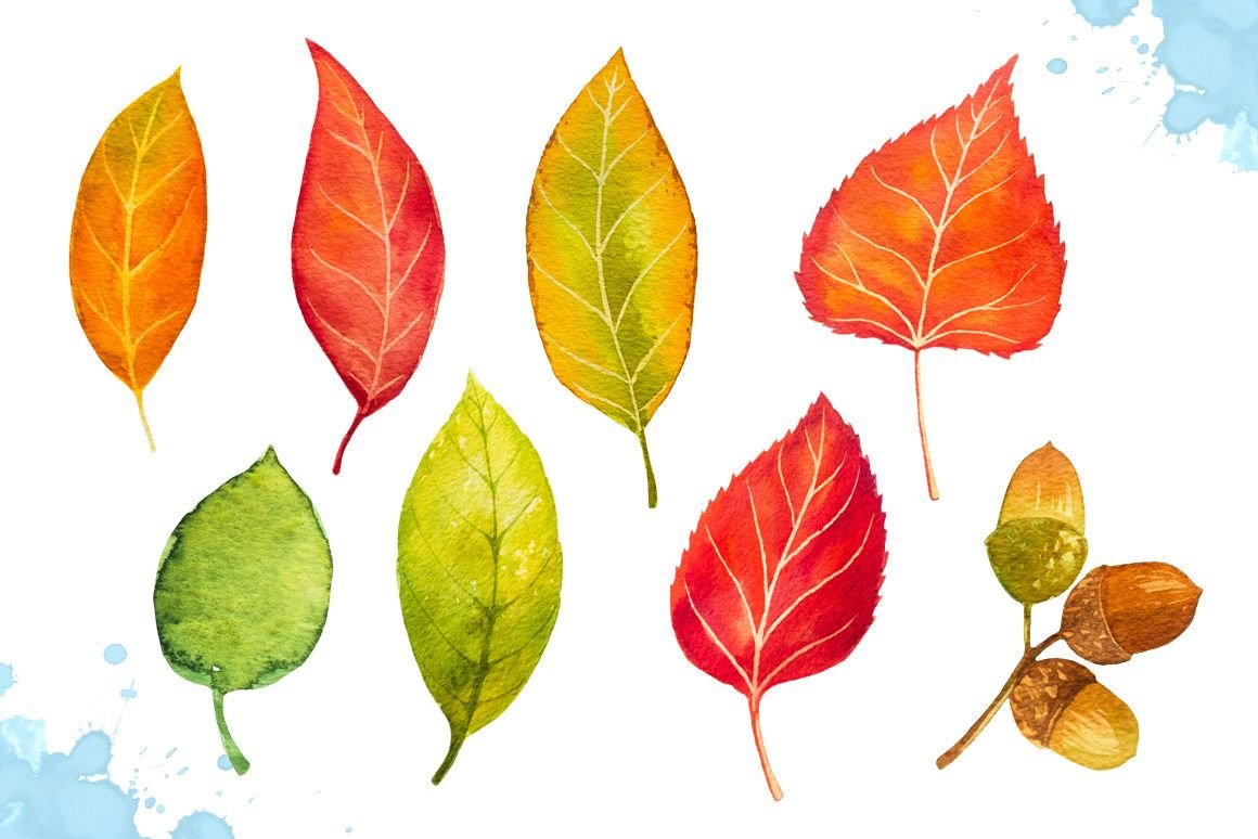 Лист рисунок цветной. Осенние листочки. Осенние листья акварель. Дерево с цветными листьями. Рисование разноцветные листочки.