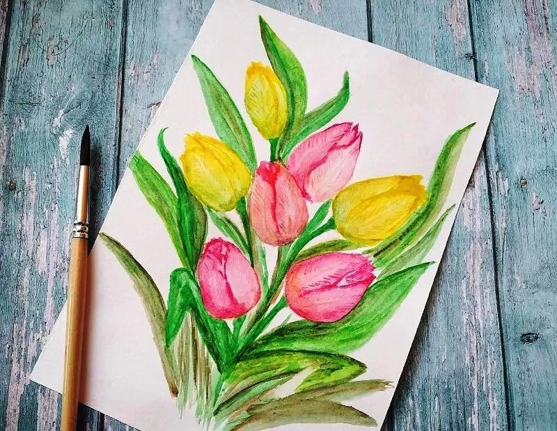 Тюльпаны фото рисунок
