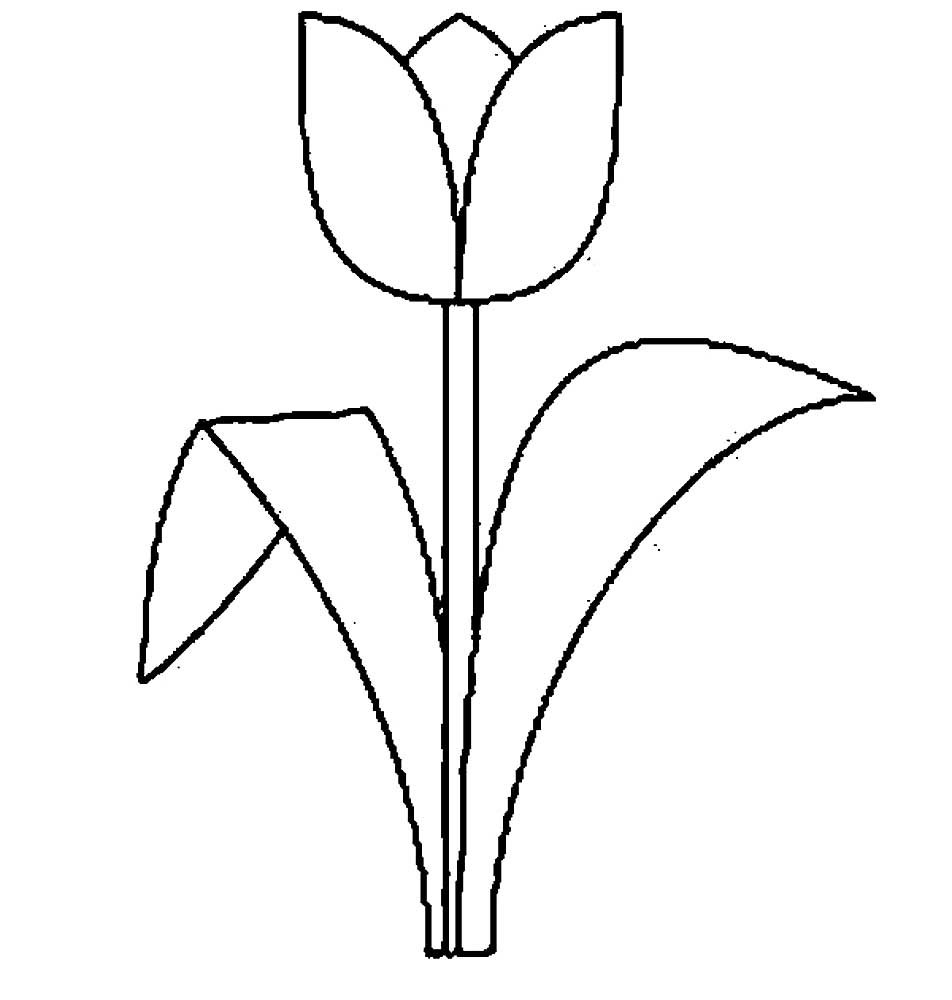 Трафарет тюльпана для рисования