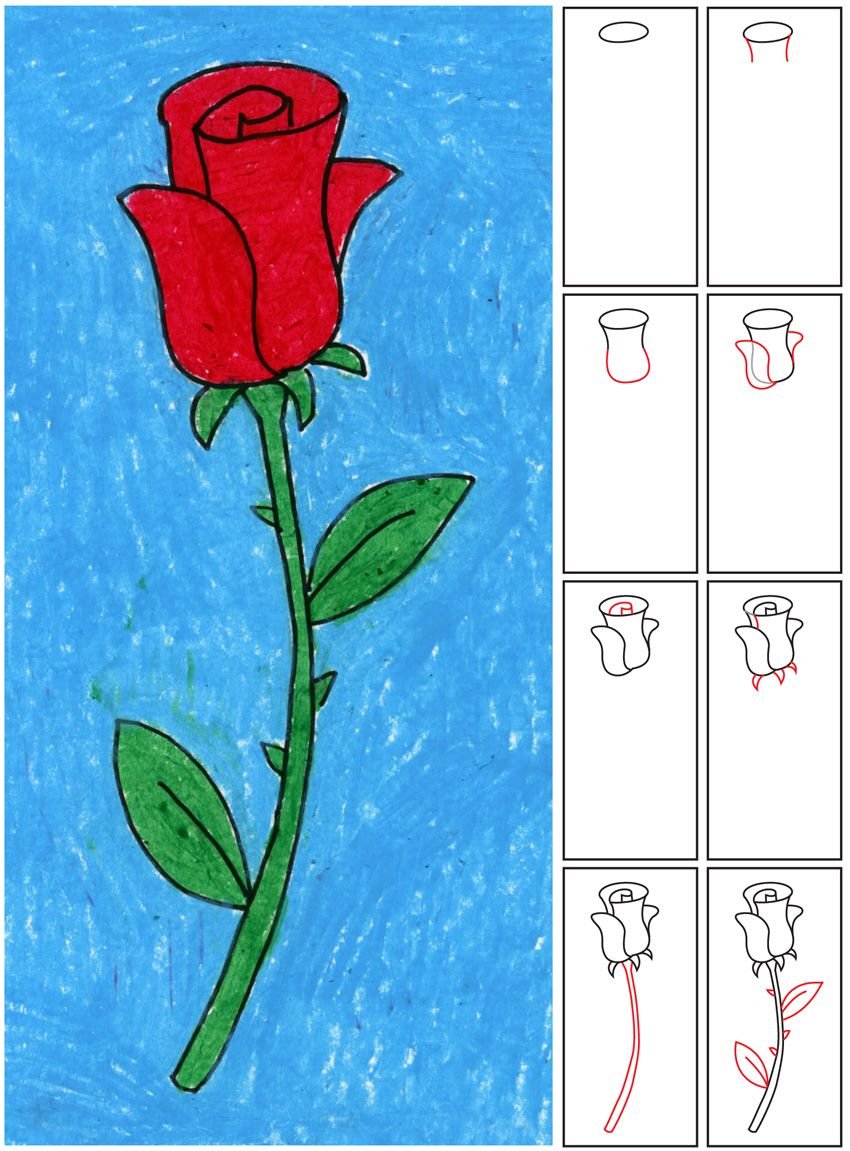 Поэтапное рисование розы для детей