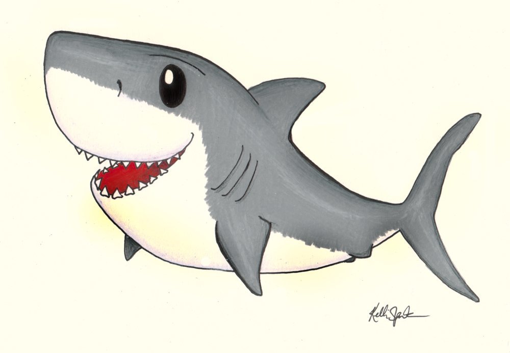 Картинки маленьких акул