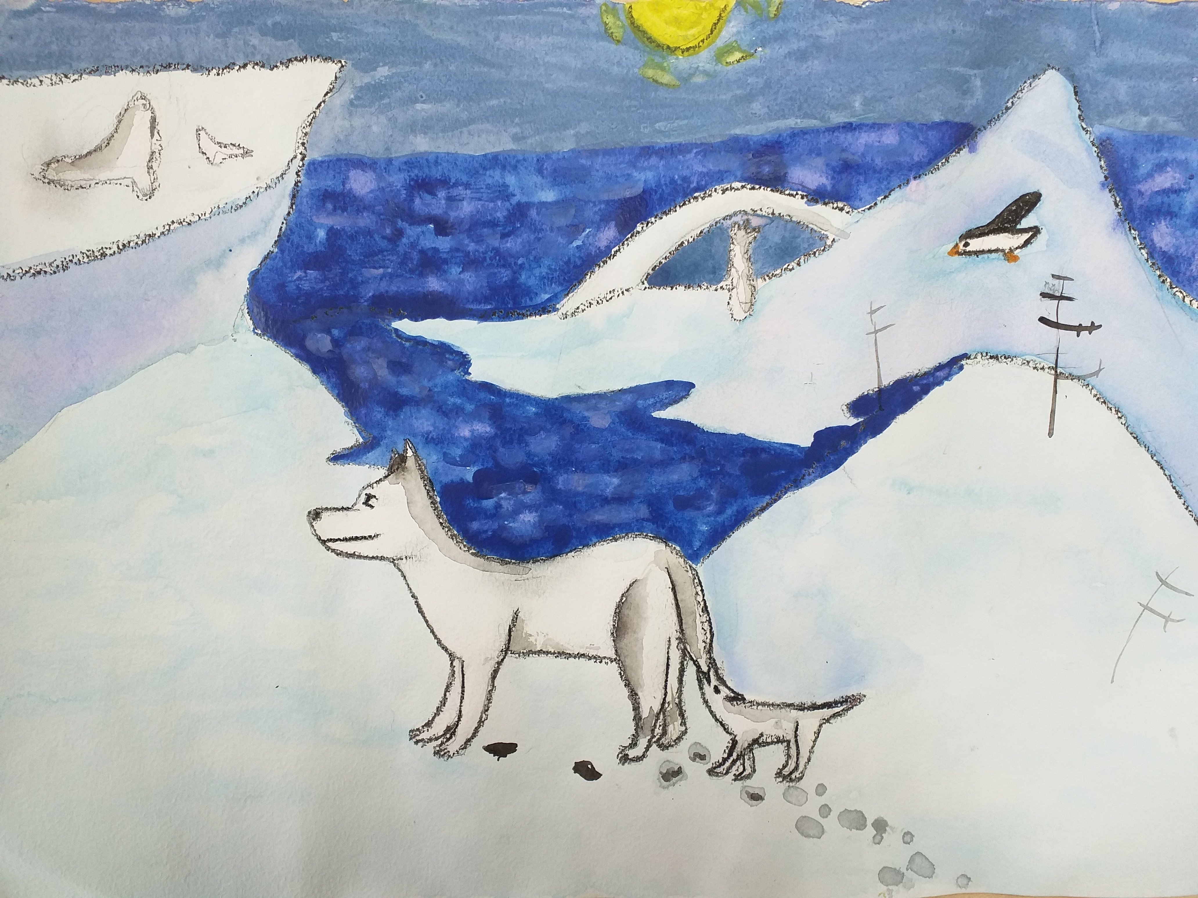 Срисовать арктического волка