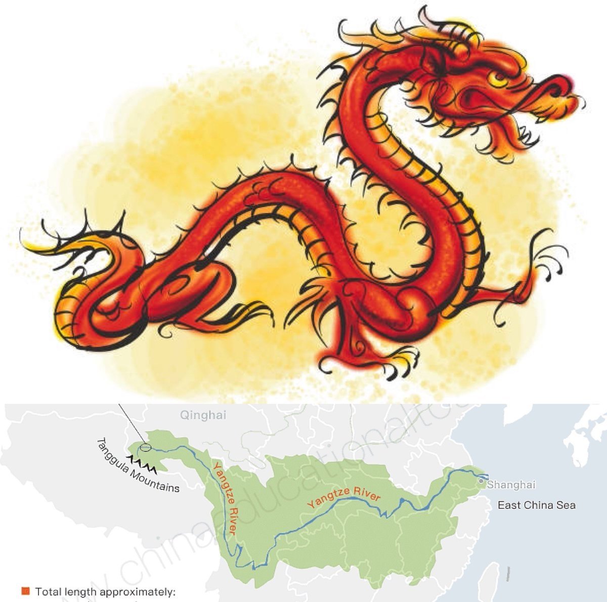 Китайский дракон в профиль