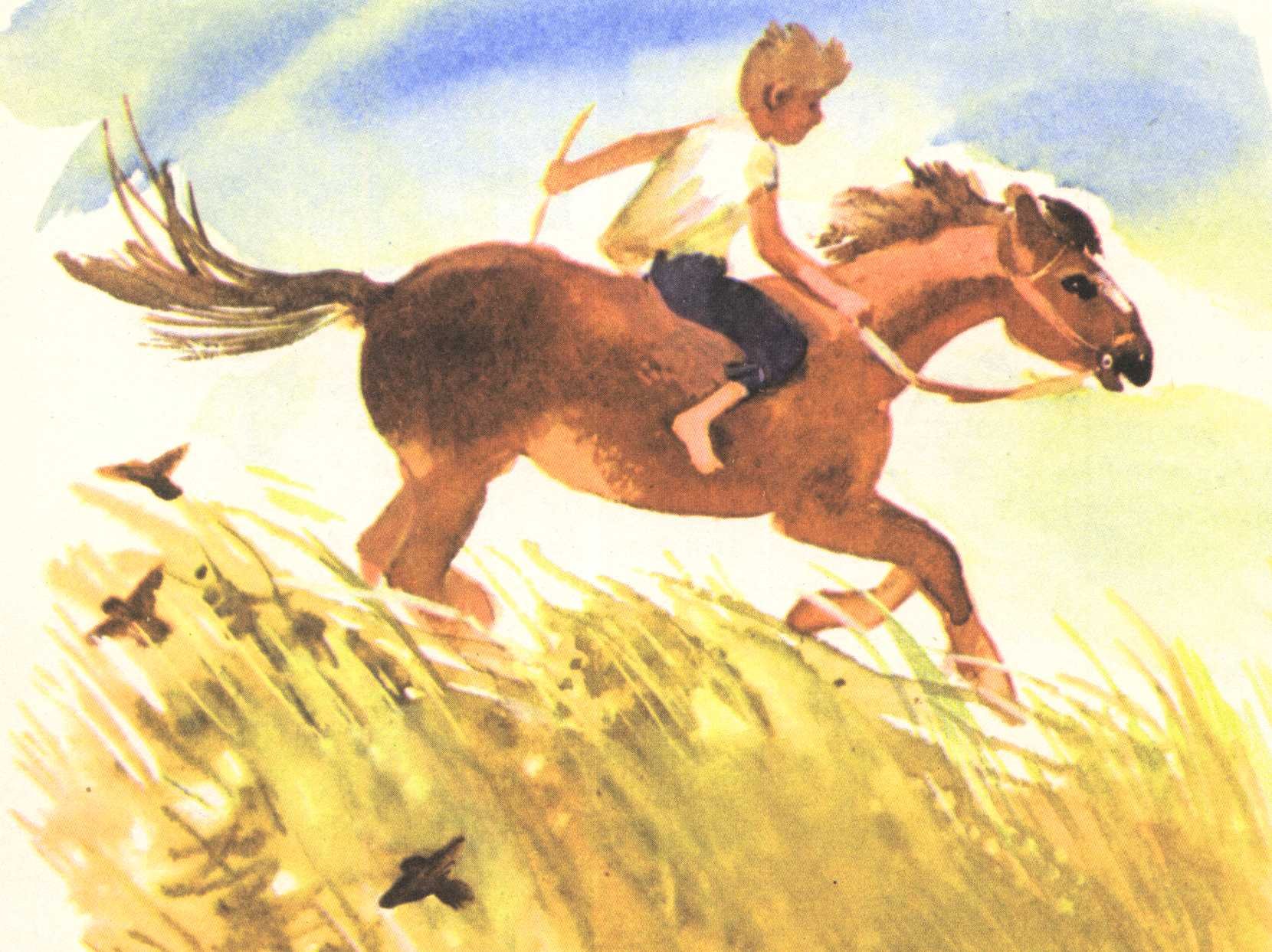 Мальчик верхом на коне