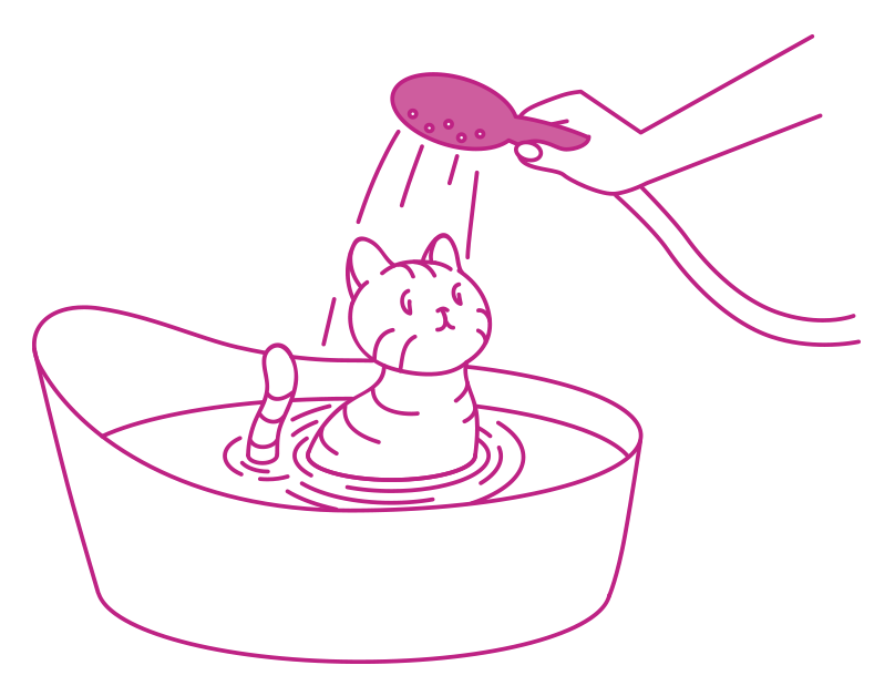 Как нарисовать мыл. Котик в тазике раскраска. Кот с миской рисунок. Кошка моется раскраска. Котик моется в ванной раскраска.