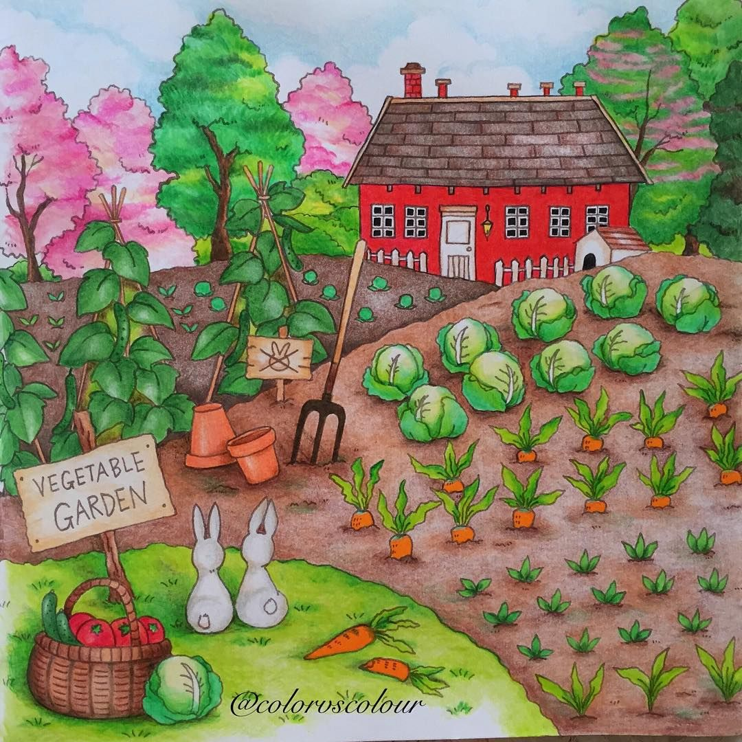 Картинка сад для детей. Огород рисунок. Огород с грядками для детей. Домики грядки для детей. Нарисовать огород.