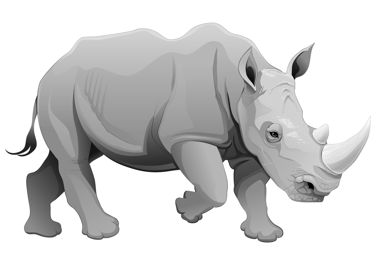 Изображения носорога. Носорог для детей. Носорог для дошкольников. Носорог клипарт. Носорог на белом фоне.
