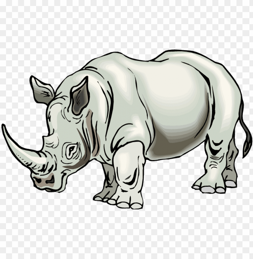 Изображения носорога. Носорог. Носорог рисунок. Мультяшные носороги. Носорог картинка для детей.