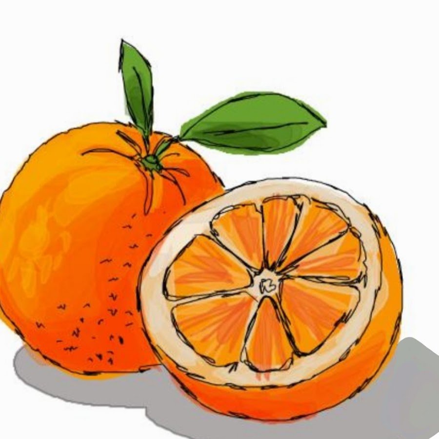 Апельсин нарисовать ребенку