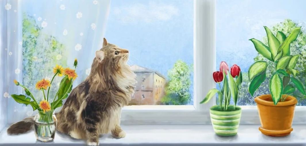 О д т цветших. Кошки на окошке. Кошка на окне. Кошка на подоконнике.