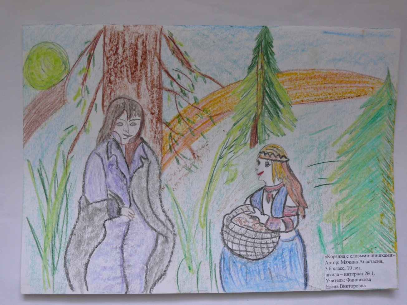 Иллюстрации к рассказу Паустовского корзина с еловыми шишками