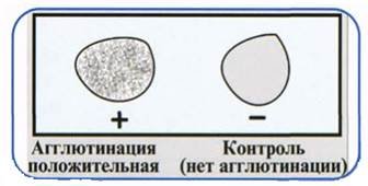 Реакция агглютинации эритроцитов