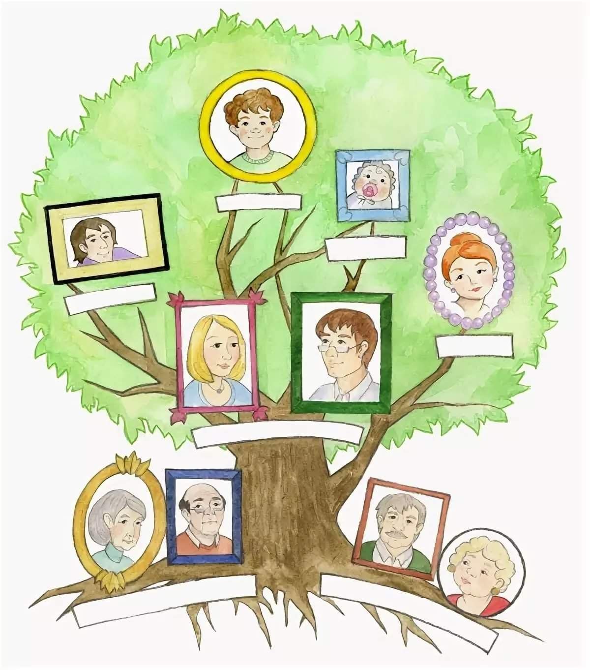 Семейное Древо рисунок