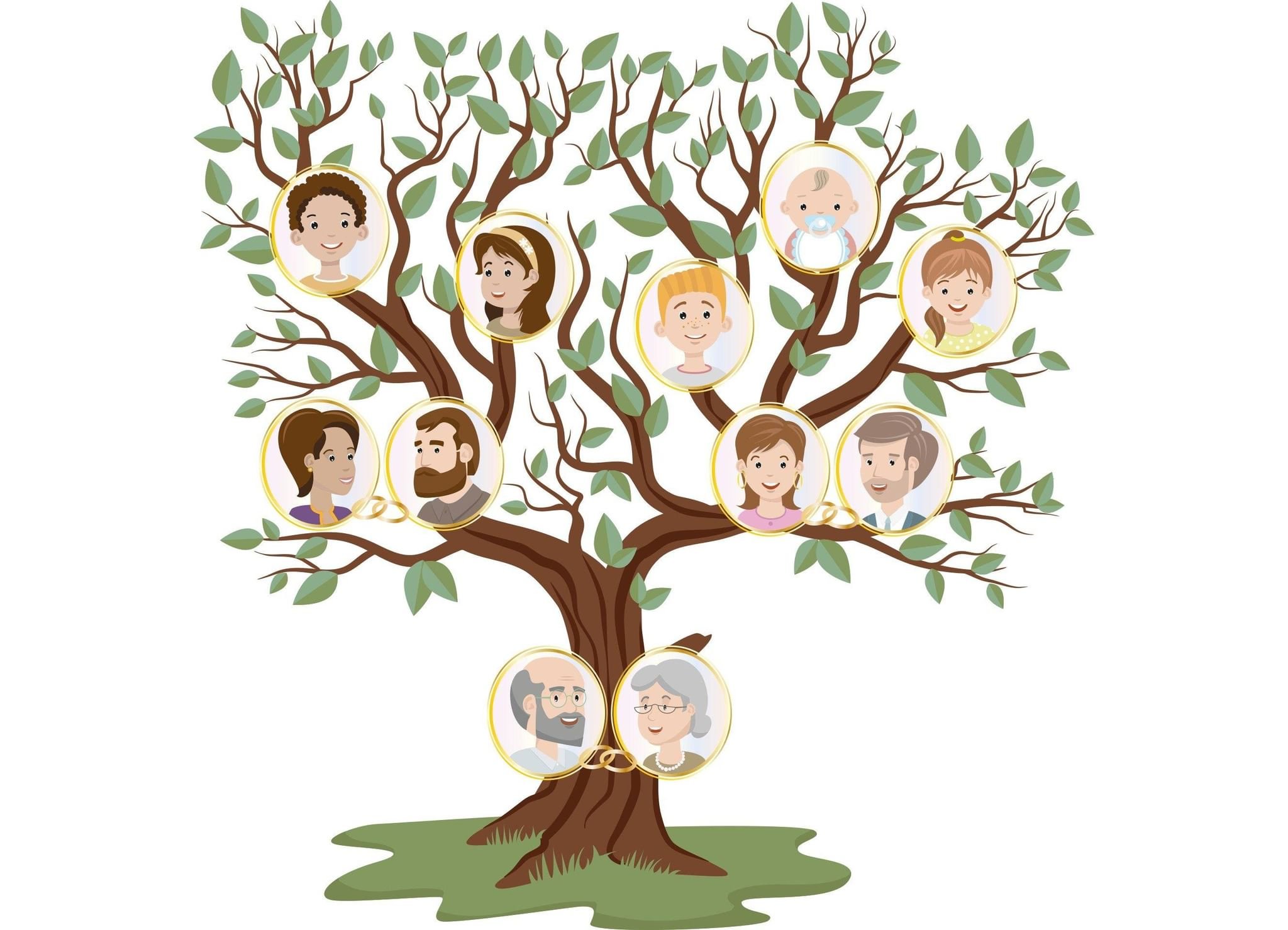 Генеалогическое Древо с корнями