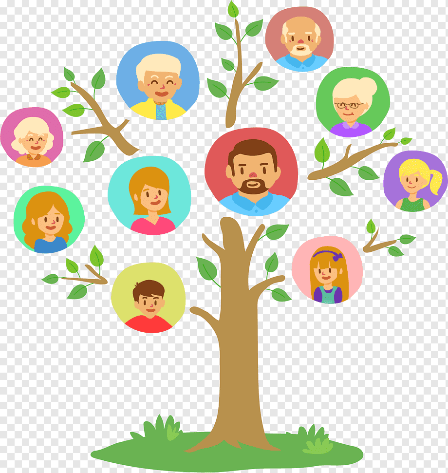 Дерево семьи для дошкольников