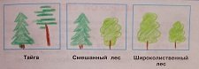 Тайга смешанный лес широколиственный лес 4 класс