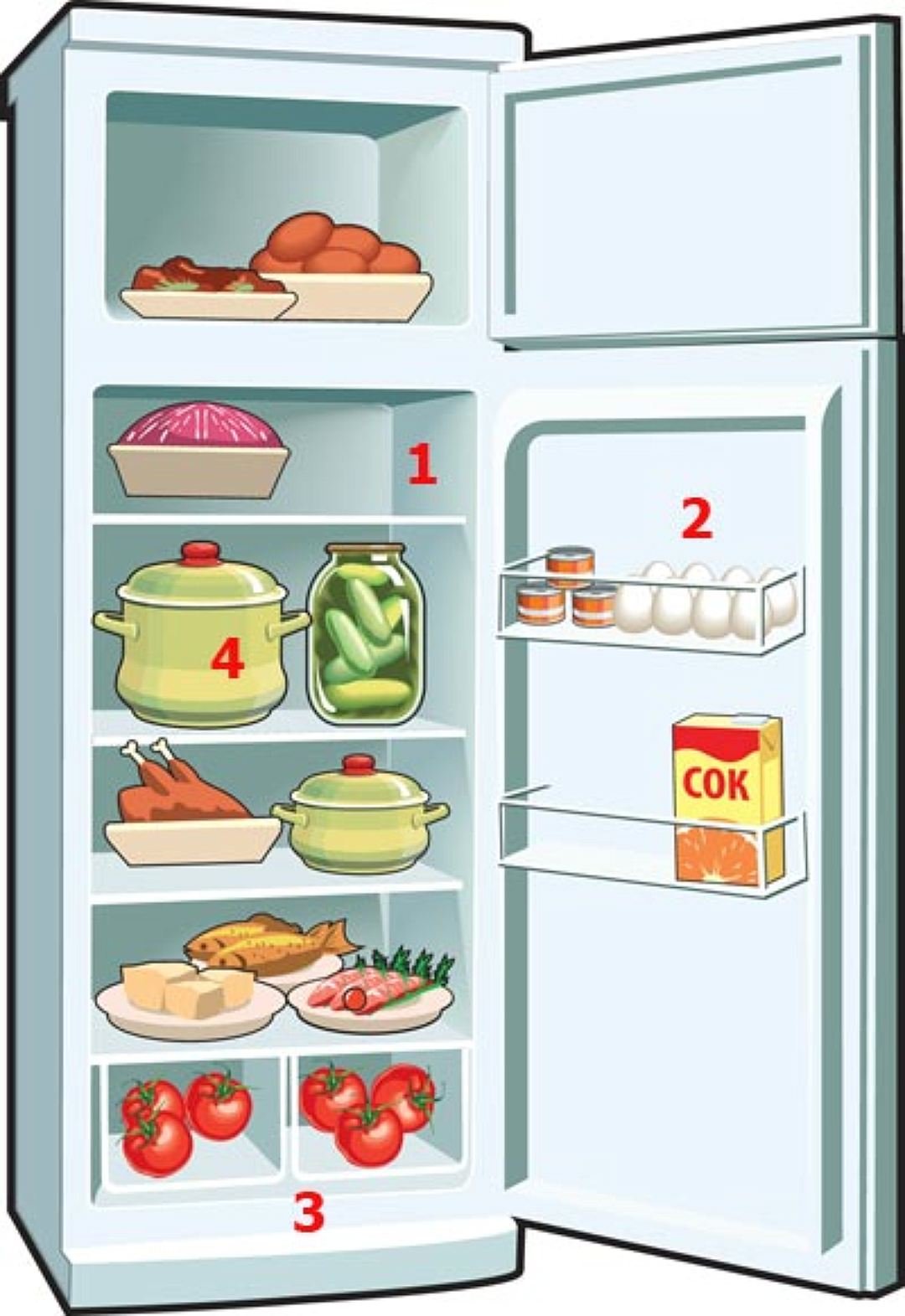 Холодильник для дошкольников
