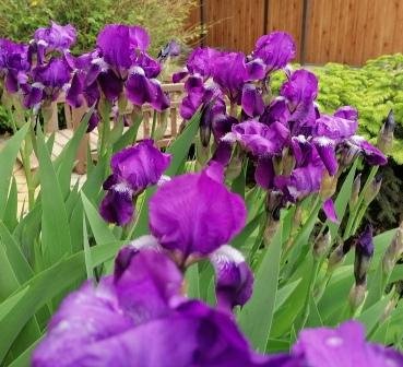 Богоматерь с младенцем рисунки