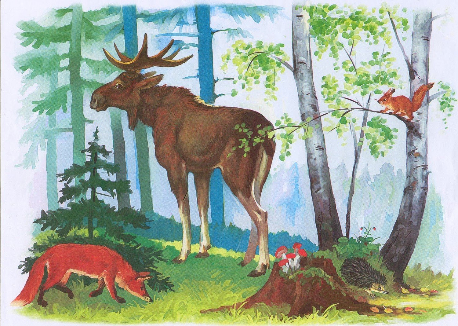 Дикие животные в лесу для детей