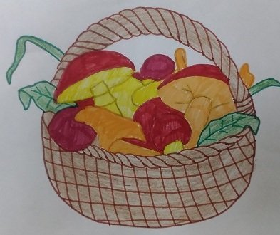 Корзина с грибами раскраска