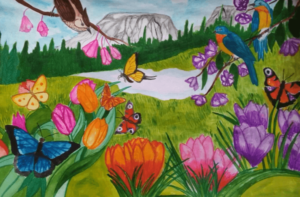 Конкурс рисунков краски лета
