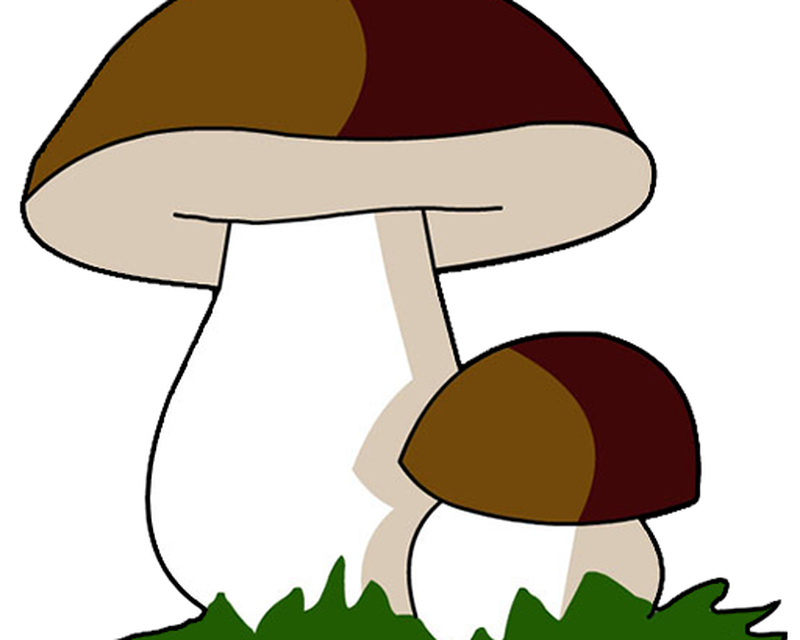 Гриб рисунок. Большой и маленький гриб. Рисунки грибов для детей. Аппликация грибочки. Грибочки 2