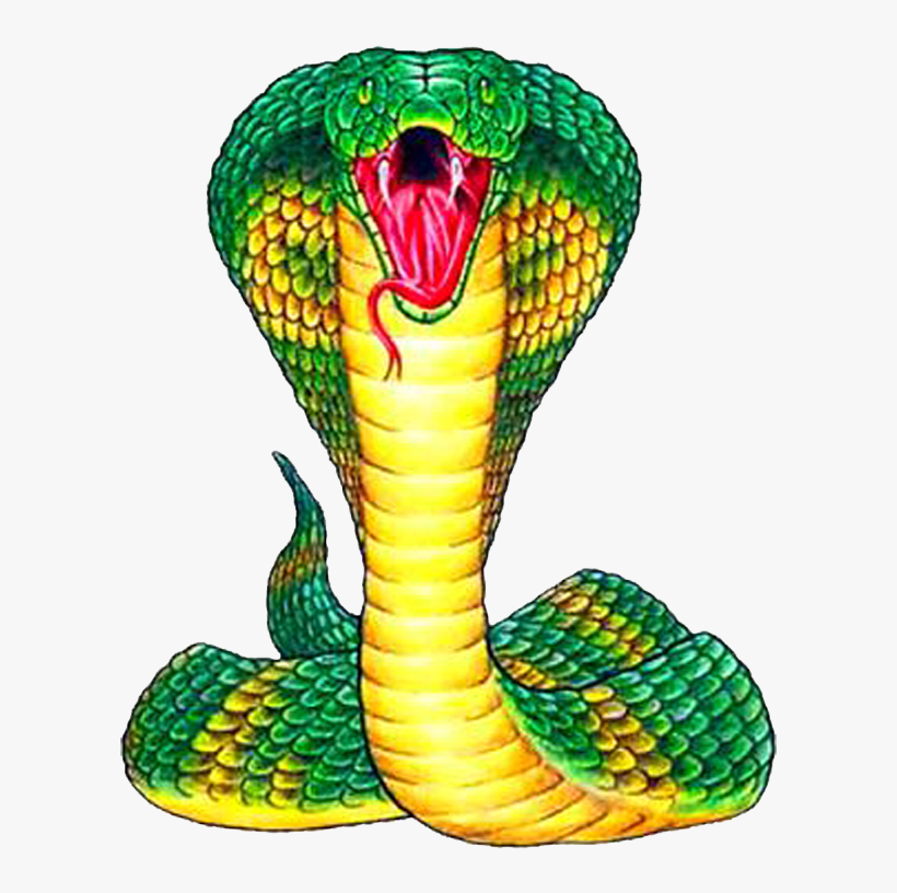 Голова змейки. Королевская Кобра Нагайна. Королевская Кобра зеленая. Голова кобры. Змея голова.