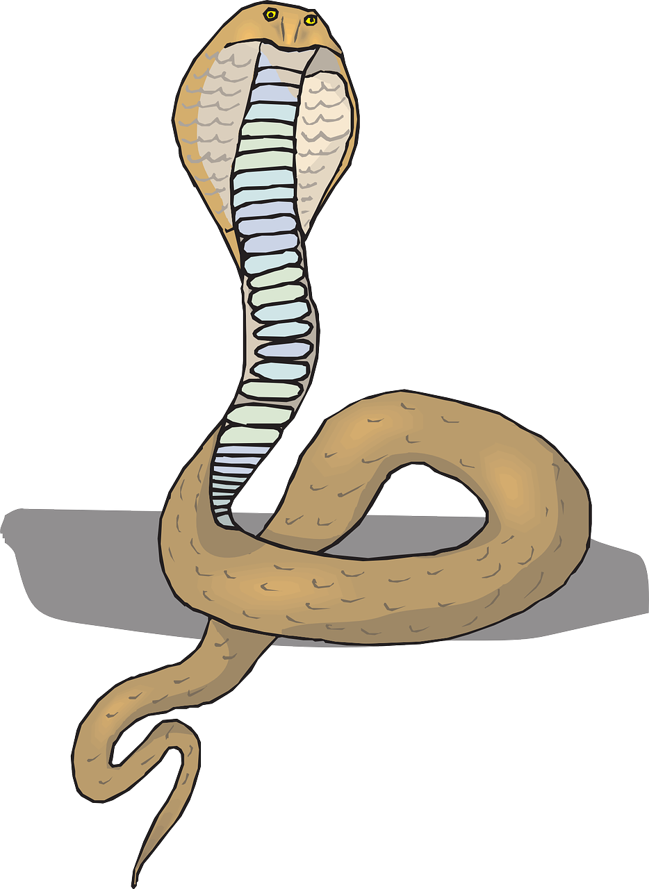 Персонажи кобры. Гремучая Кобра. Мультяшные змеи. Змея рисунок. Кобра хвост змея.