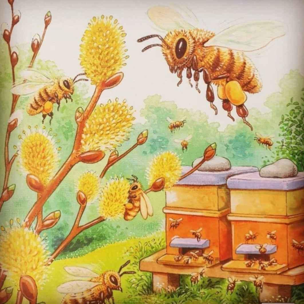 Ульи с пчелами и медом для детей